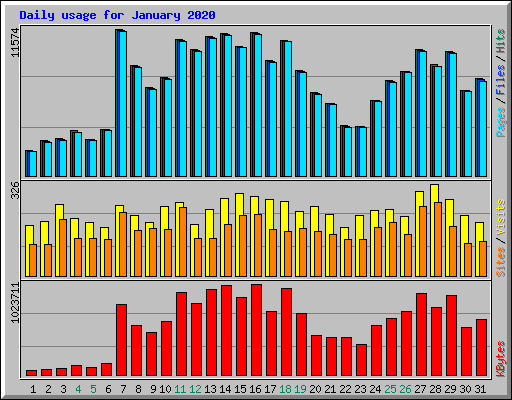 Daily usage for January 2020