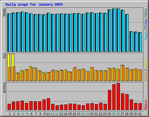 Daily usage for January 2025