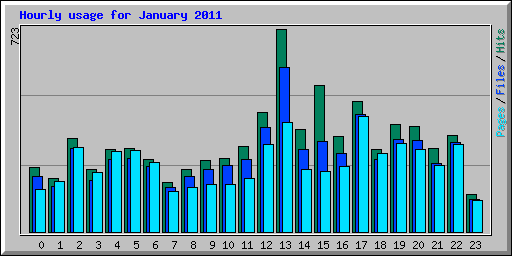 Hourly usage for January 2011