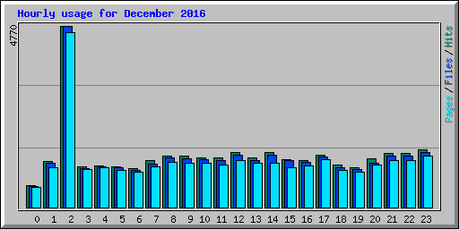 Hourly usage for December 2016