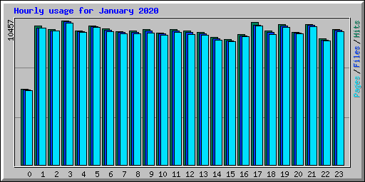 Hourly usage for January 2020