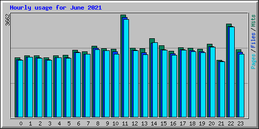 Hourly usage for June 2021