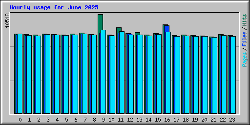 Hourly usage for June 2025
