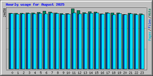 Hourly usage for August 2025