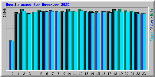 Hourly usage for November 2025