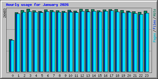 Hourly usage for January 2026