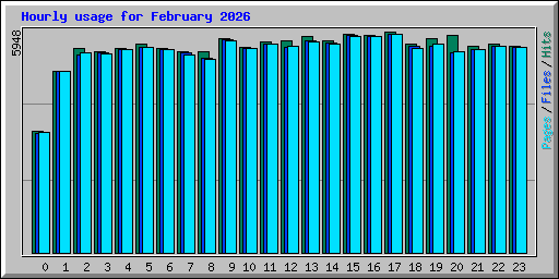 Hourly usage for February 2026
