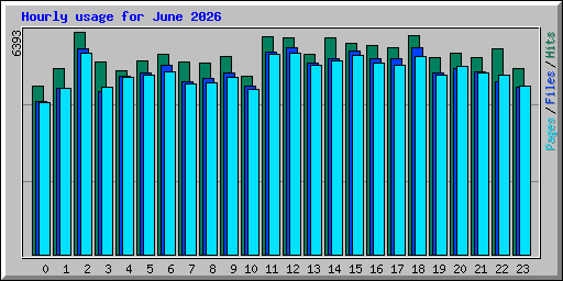 Hourly usage for June 2026